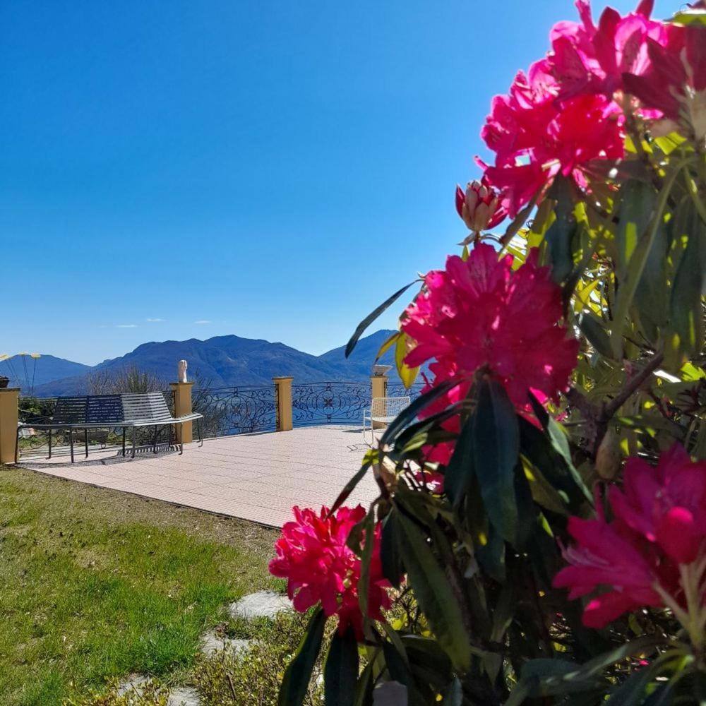 Villa Morissolina Trarego Екстериор снимка